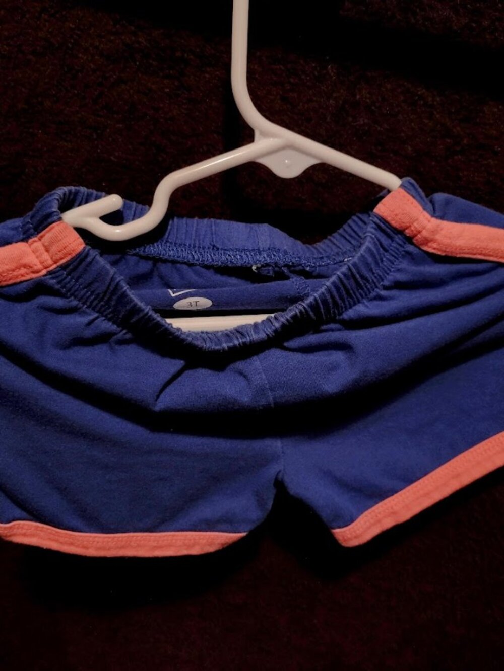 Toddler Girls 'Kids Korner' Shorts Size 3T